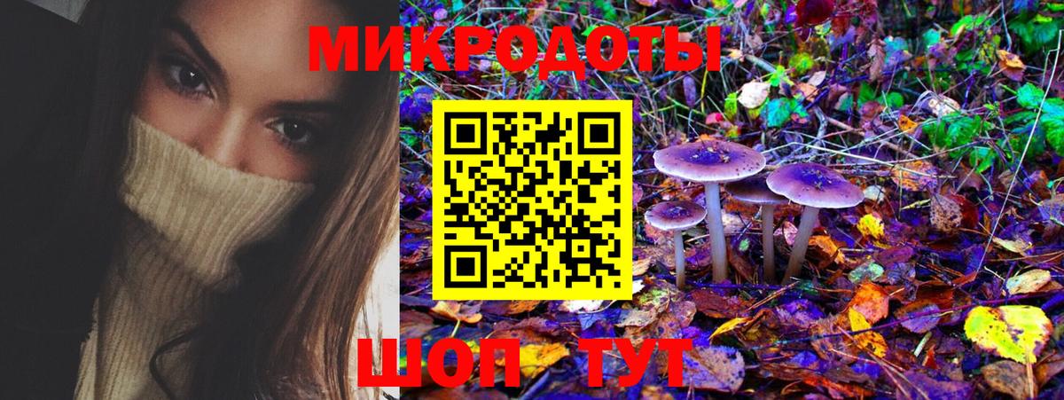 Псилоцибиновые грибы Psilocybe Россия