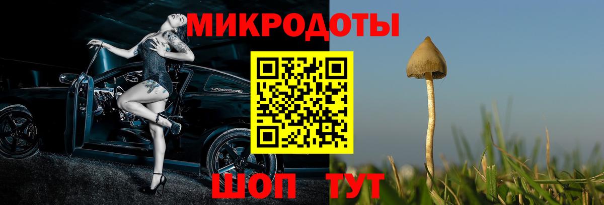 Псилоцибиновые грибы Magic Shrooms  Псилоцибиновые грибы GOLDEN TEACHER  Вход с VPN  Россия 