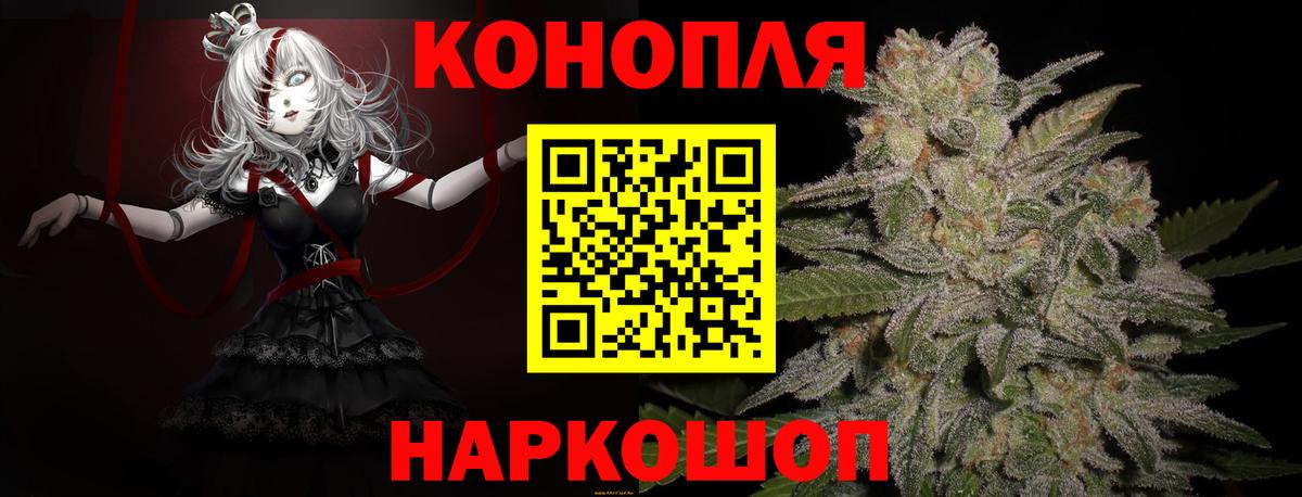 Каннабис планчик Россия